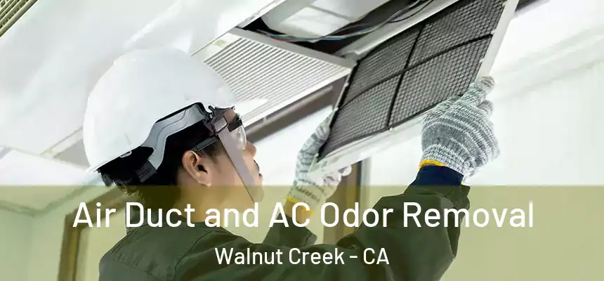 Air Duct and AC Odor Removal Walnut Creek - CA