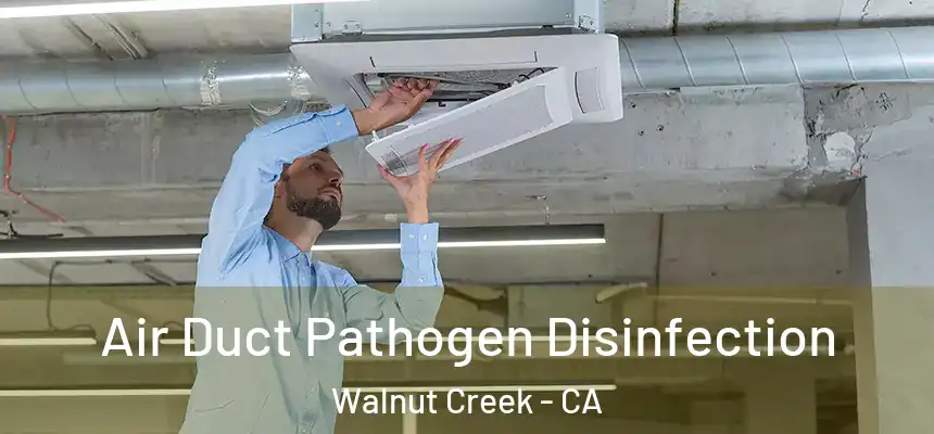  Air Duct Pathogen Disinfection Walnut Creek - CA