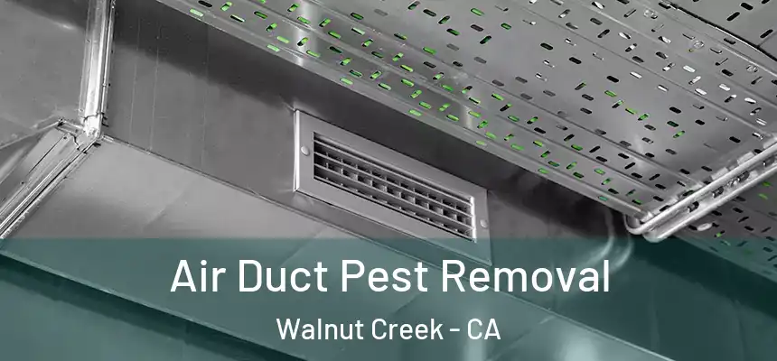 Air Duct Pest Removal Walnut Creek - CA