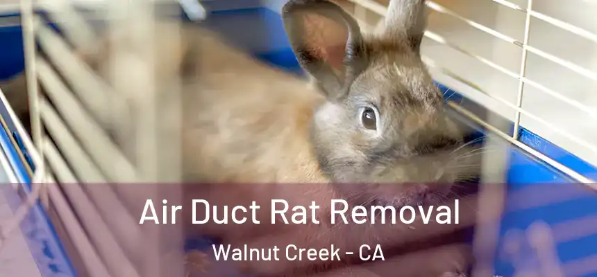 Air Duct Rat Removal Walnut Creek - CA
