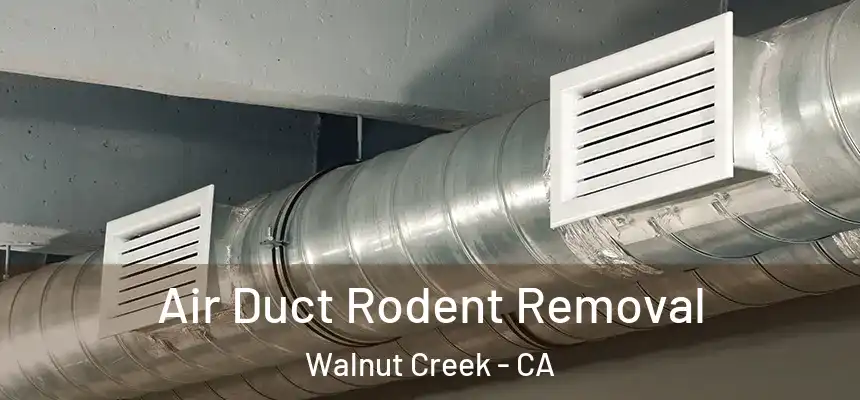 Air Duct Rodent Removal Walnut Creek - CA