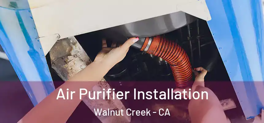 Air Purifier Installation Walnut Creek - CA
