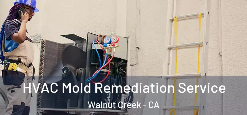  HVAC Mold Remediation Service Walnut Creek - CA