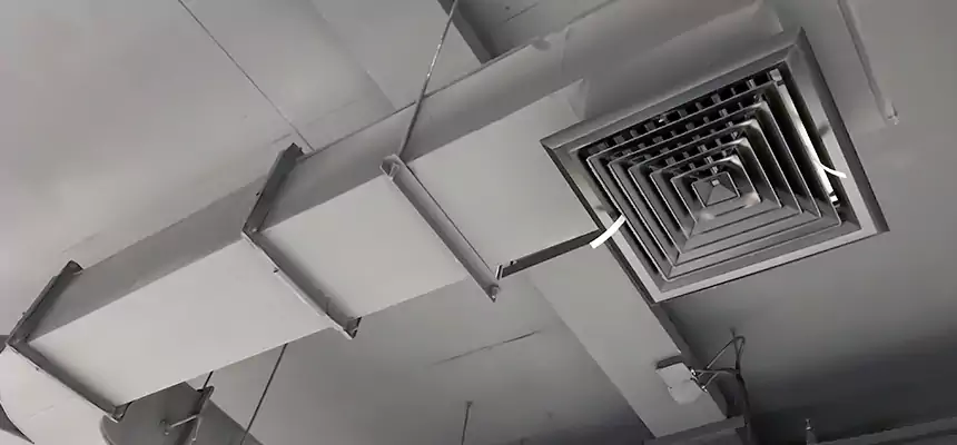 Restorative Allergy Relief Vent Cleaning – Coil, Blower & Housing Detail in Walnut Creek