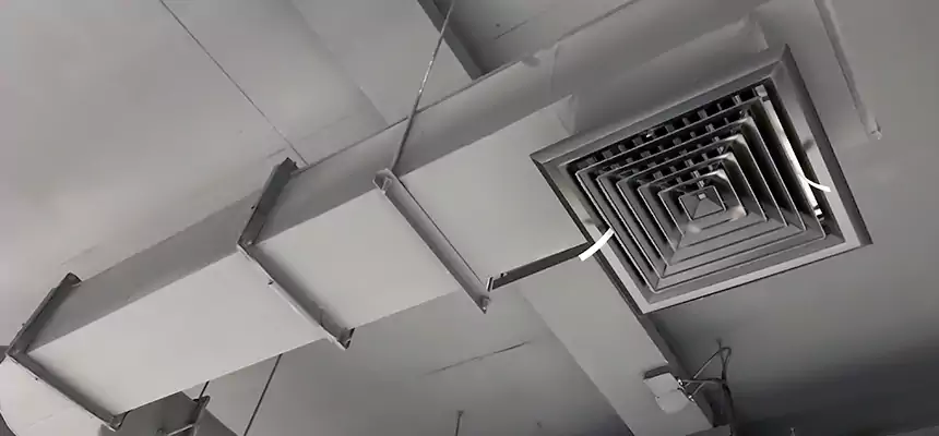 Our Pest Removal From Ducts Services in Walnut Creek, CA