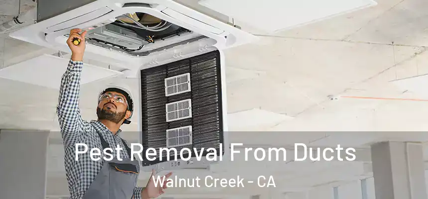 Pest Removal From Ducts Walnut Creek - CA