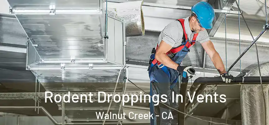 Rodent Droppings In Vents Walnut Creek - CA