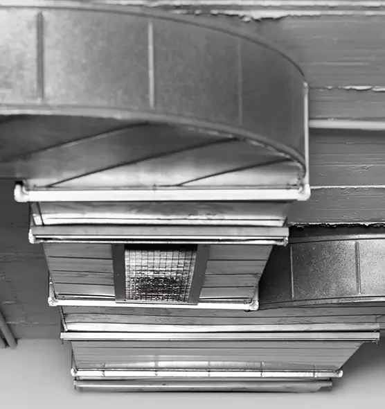 Professional Air Duct Pet Hair Removal in Walnut Creek, CA