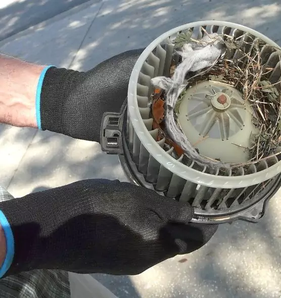 About Air Duct Rat Removal in Walnut Creek, CA