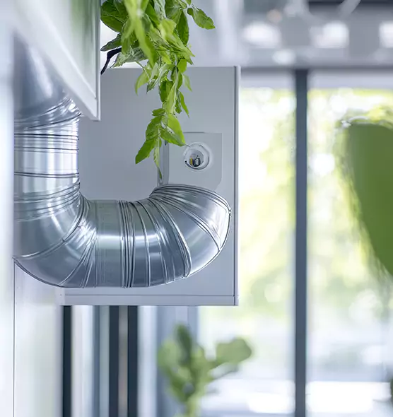 Professional Eco-Safe Dryer Vent Cleaning in Walnut Creek, CA