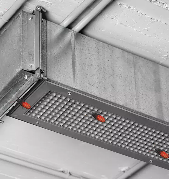 Affordable Insect Removal from Air Ducts in Walnut Creek, CA