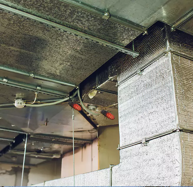 Why Homeowners & Businesses Trust Us in Walnut Creek, CA?