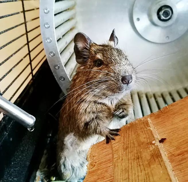 Why Homeowners & Businesses Trust Us Walnut Creek, CA?