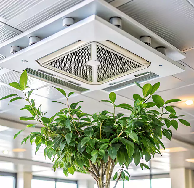 Why Homeowners & Businesses Trust Us in Walnut Creek, CA?