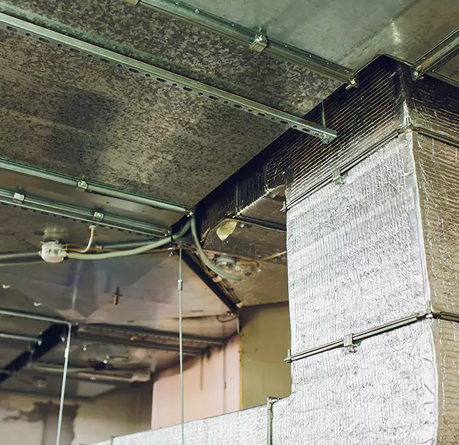 Why Homeowners & Businesses Trust Us in Walnut Creek, CA?